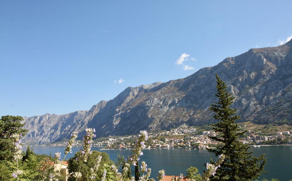 Villa Mima Kotor Zewnętrze zdjęcie